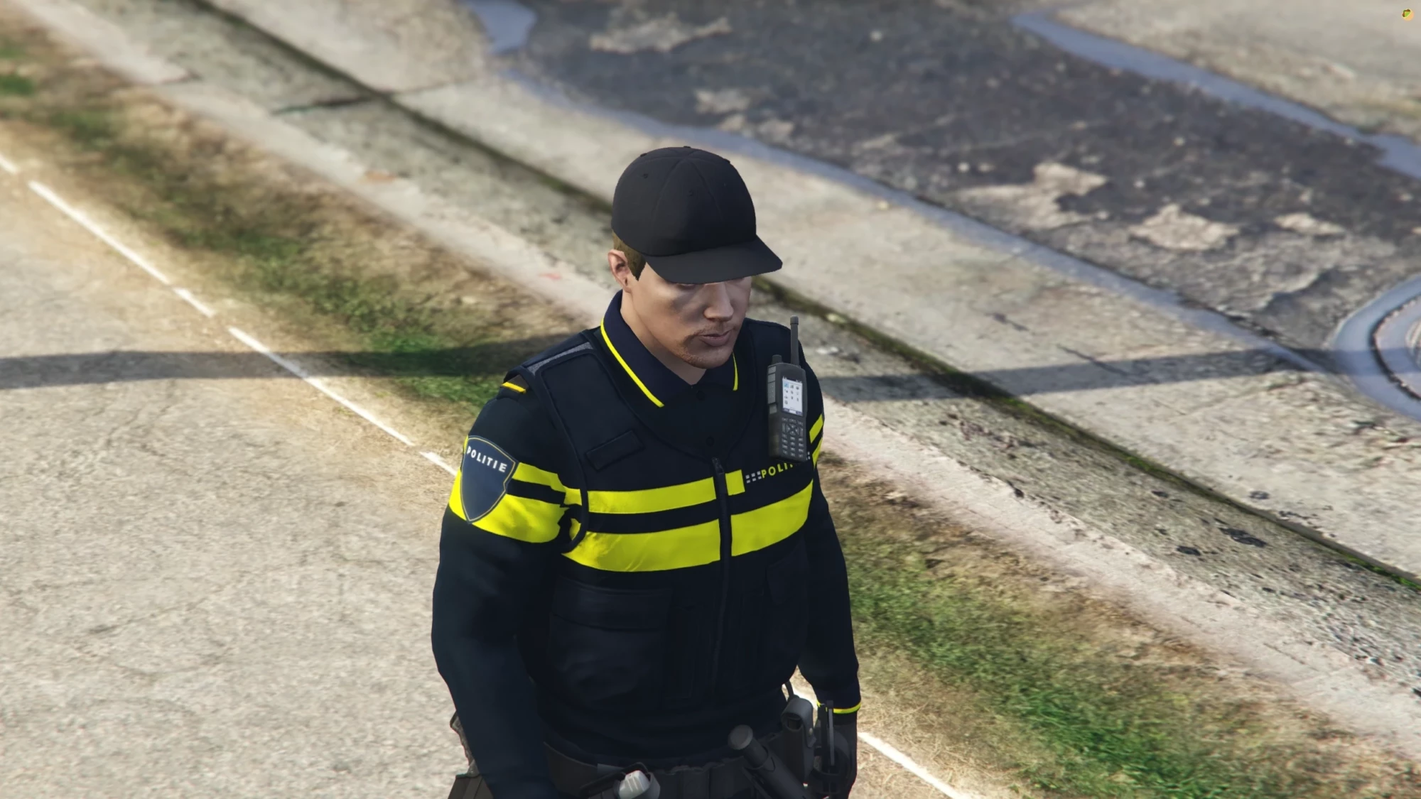 Politie Pet Nieuw! — afbeelding 4