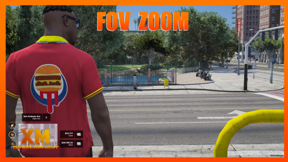 FOV Zoom Script (Standalone)