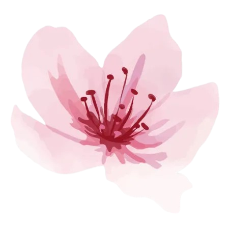 Lotus to Custom