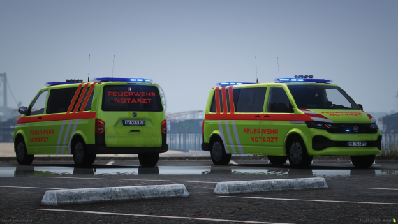BF Sporetranser Facelift - NEF V2
