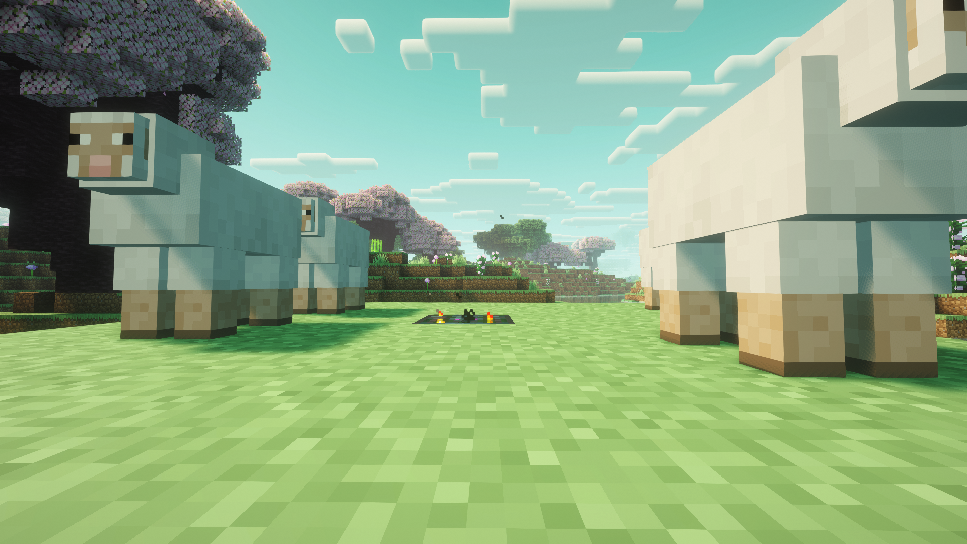 Spawner de Oveja