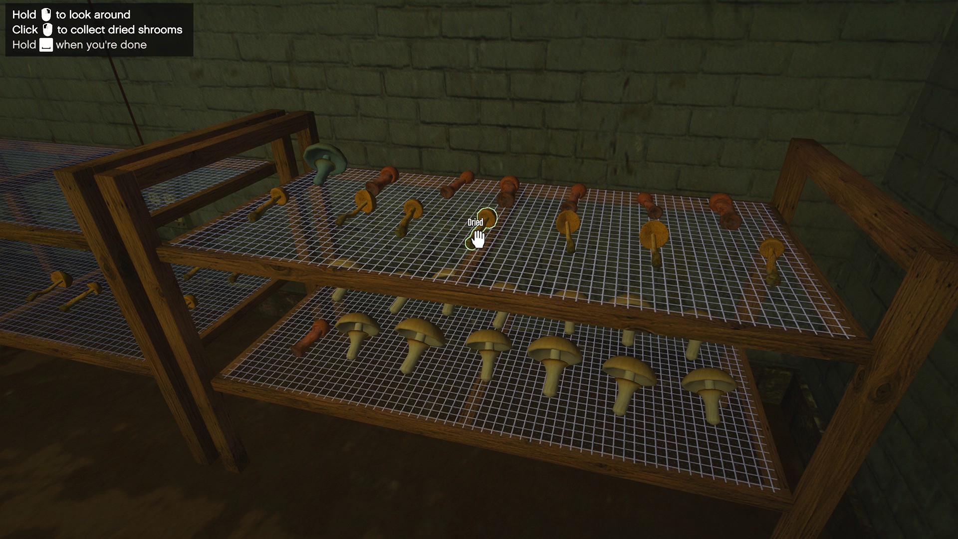 Shrooms Cultivation