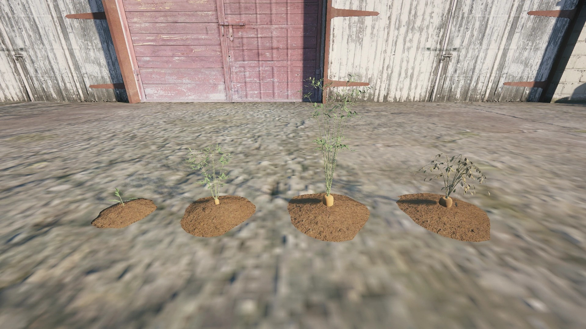 Farm Props: Roots & Bulbs - 4