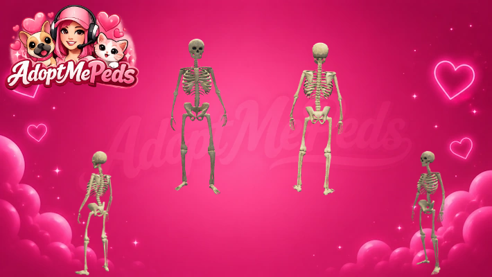 Skeleton