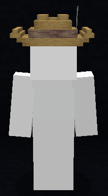 Cowboy Hat