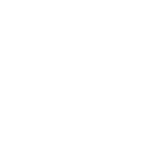 64x Cobweb