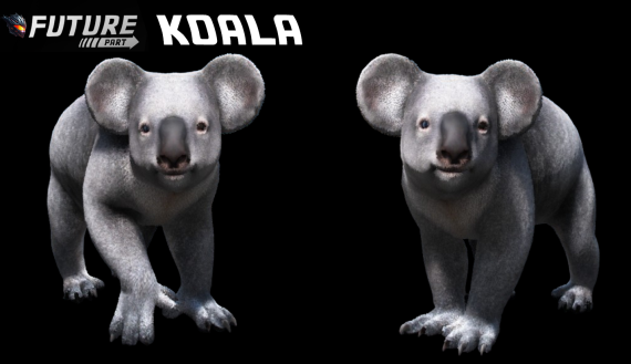 [ANIMAL] [PUPPY] Koala