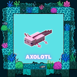 Axolotl