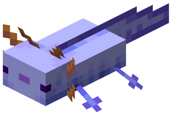 Axolotl Pet