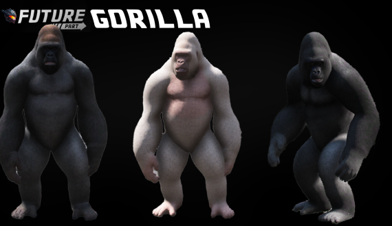 [ANIMAL] Gorilla