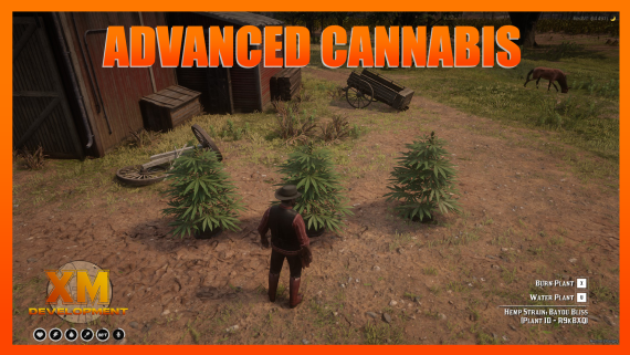 Advanced Cannabis (RSG/VORP)