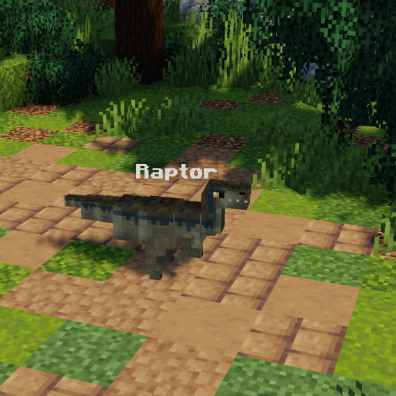 Raptor Pet
