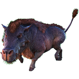 Daeodon