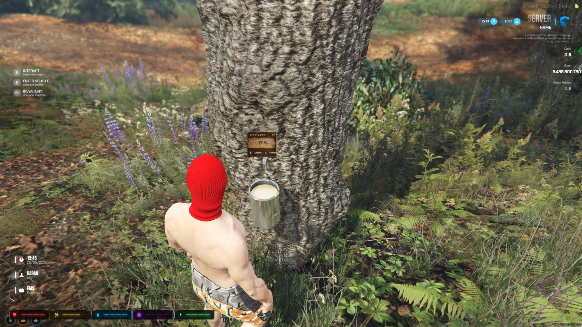 Maple Syrup - Image undefined