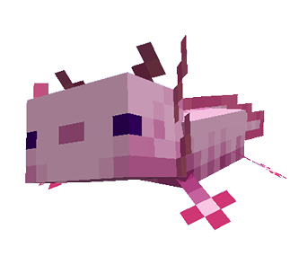 Bea's Axolotl