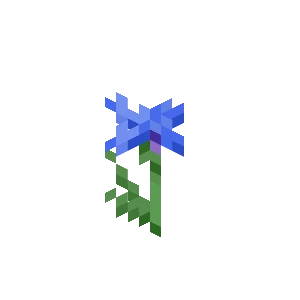 Iris [30d]