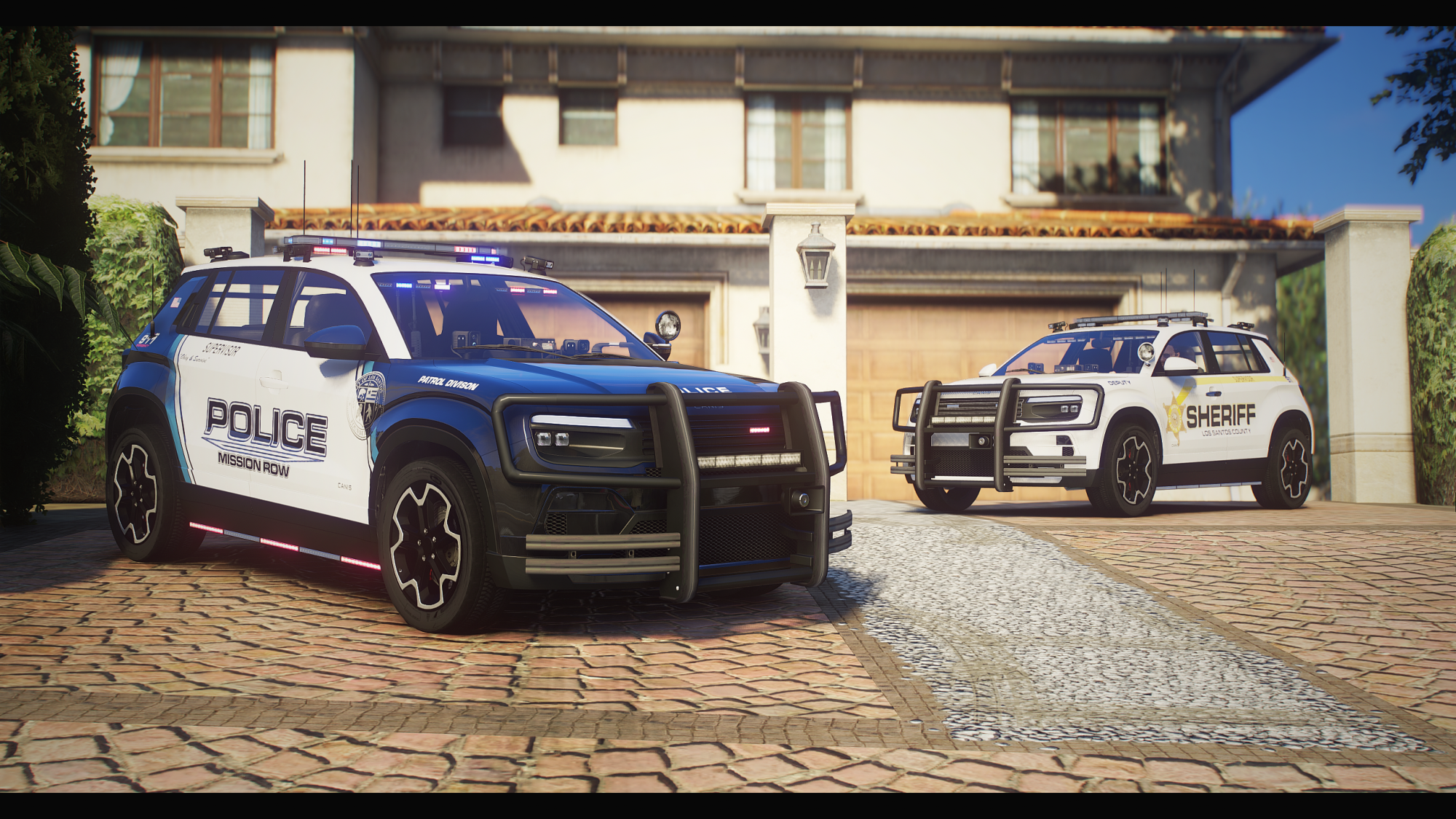 Canis  Police castigator - Image 5
