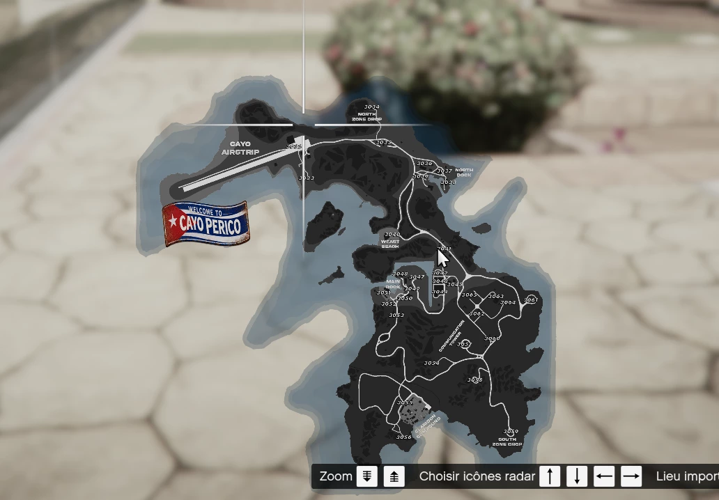 Los Santos MiniMap + Script Postal Codes (Standalone)