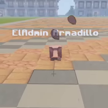 🦔 Armadillo