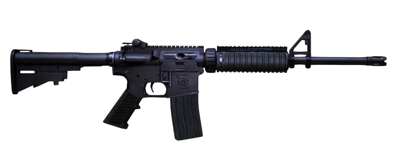Carabine Rifle  + 100 Ammo