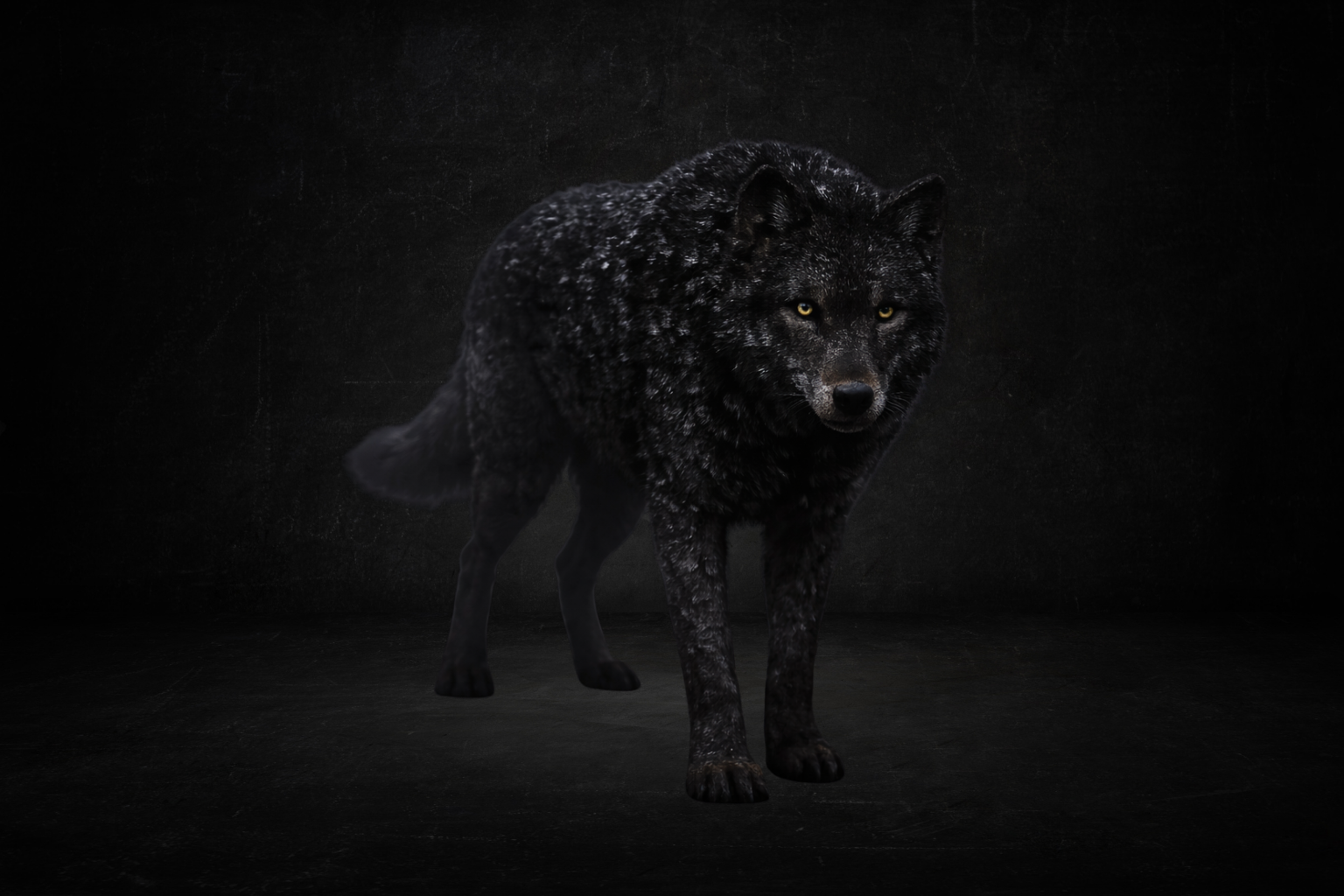Loup mystique ( perma )