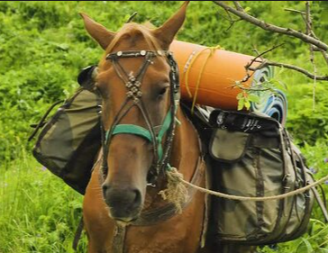 Extra Horse Storage Slots