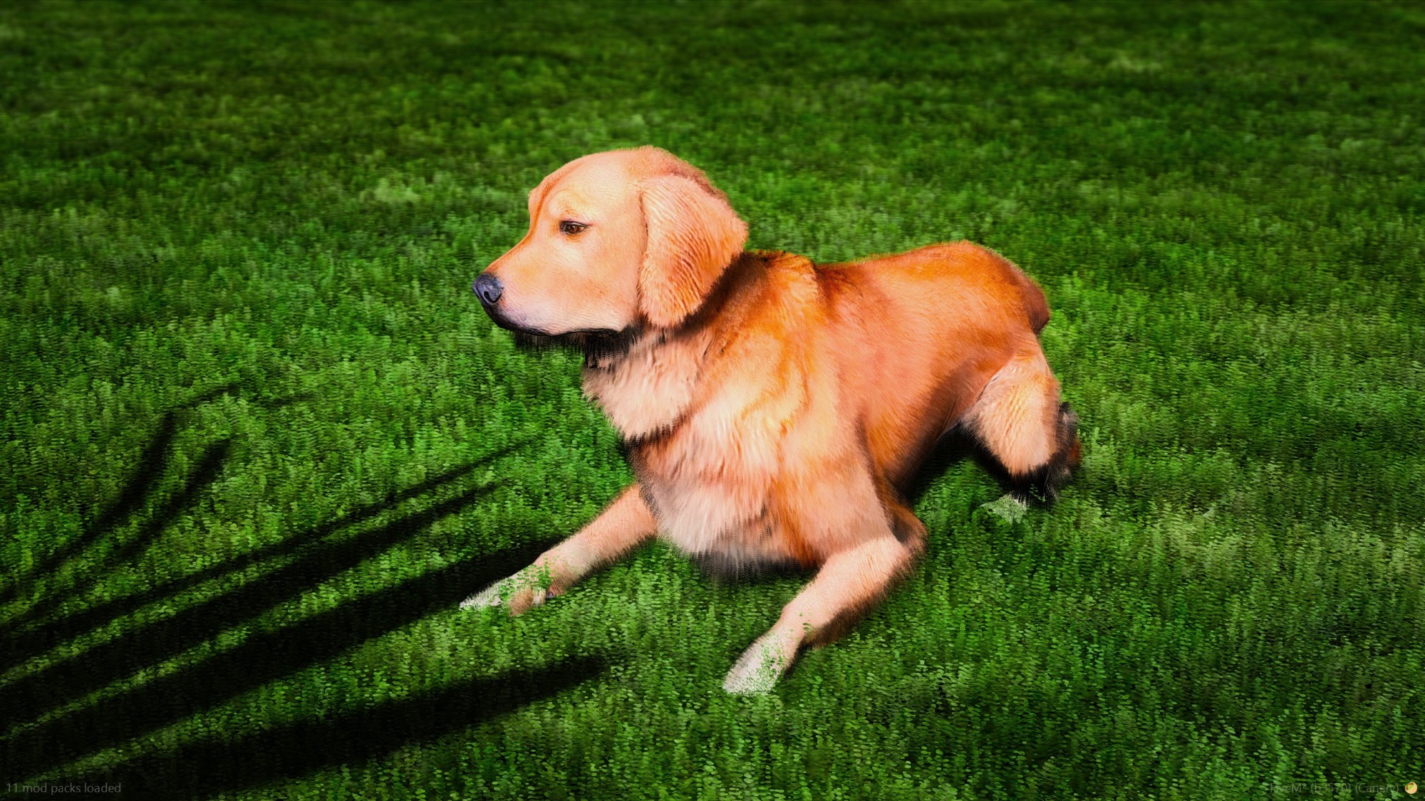 Golden Labrador Retriever Police K9