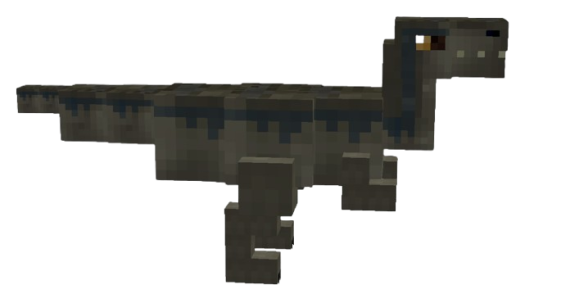 Raptor