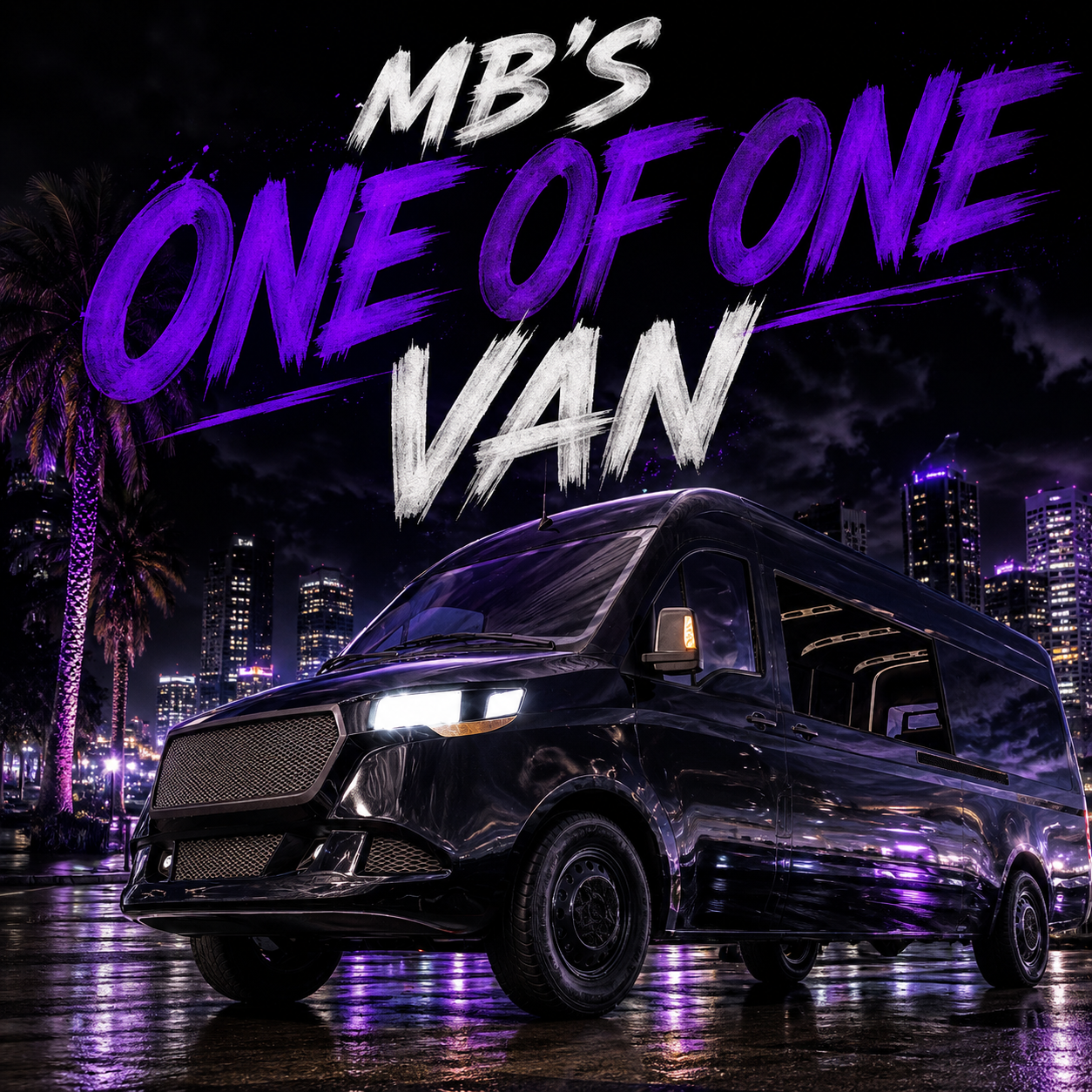 Mbs One Of One Van preview