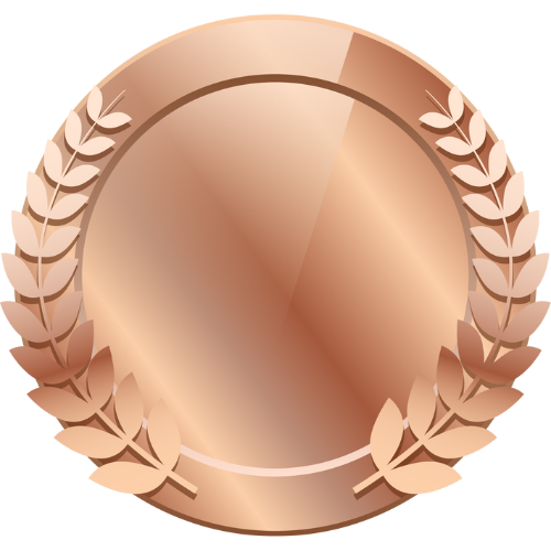 Bronze Subscription