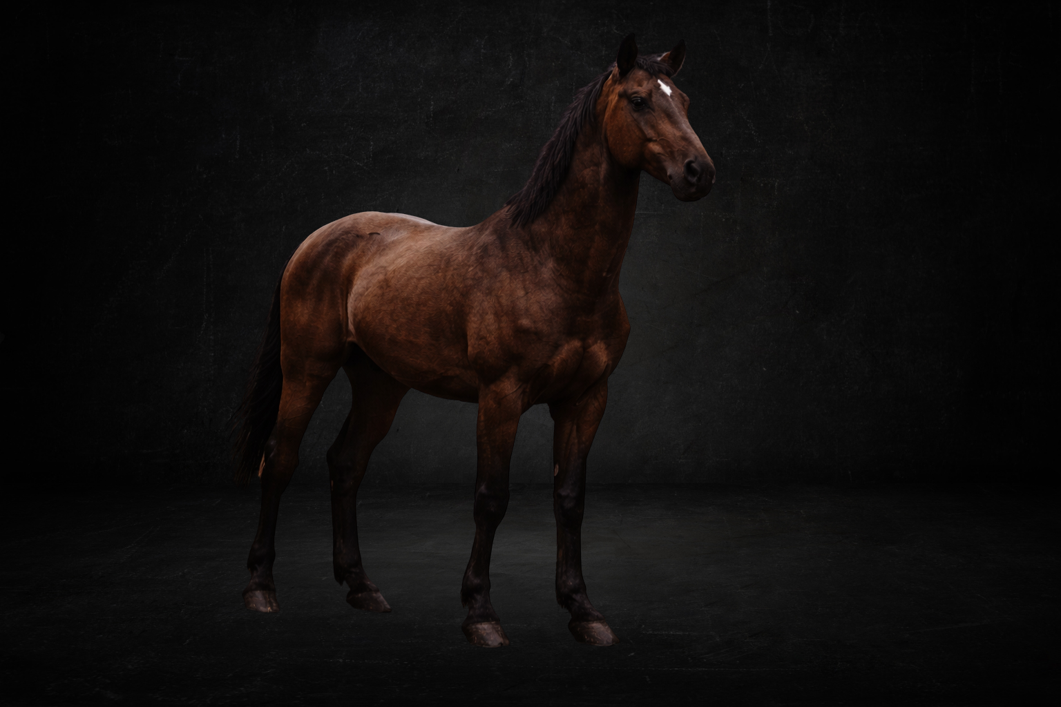 Cheval Adulte (Monture 2 places ) ( survie )