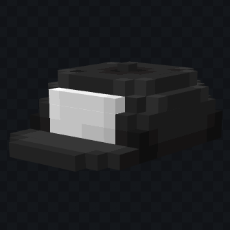 N's Hat