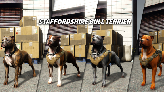 Staffordshire Bull Terrier