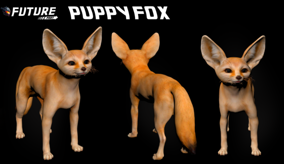 [ANIMAL] [PUPPY] Puppy Fox