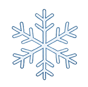 Snowflake Tag
