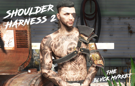 Shoulder Harness 2