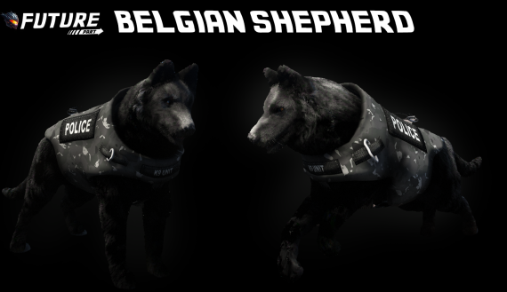 [DOG] Belgian Shepherd K9