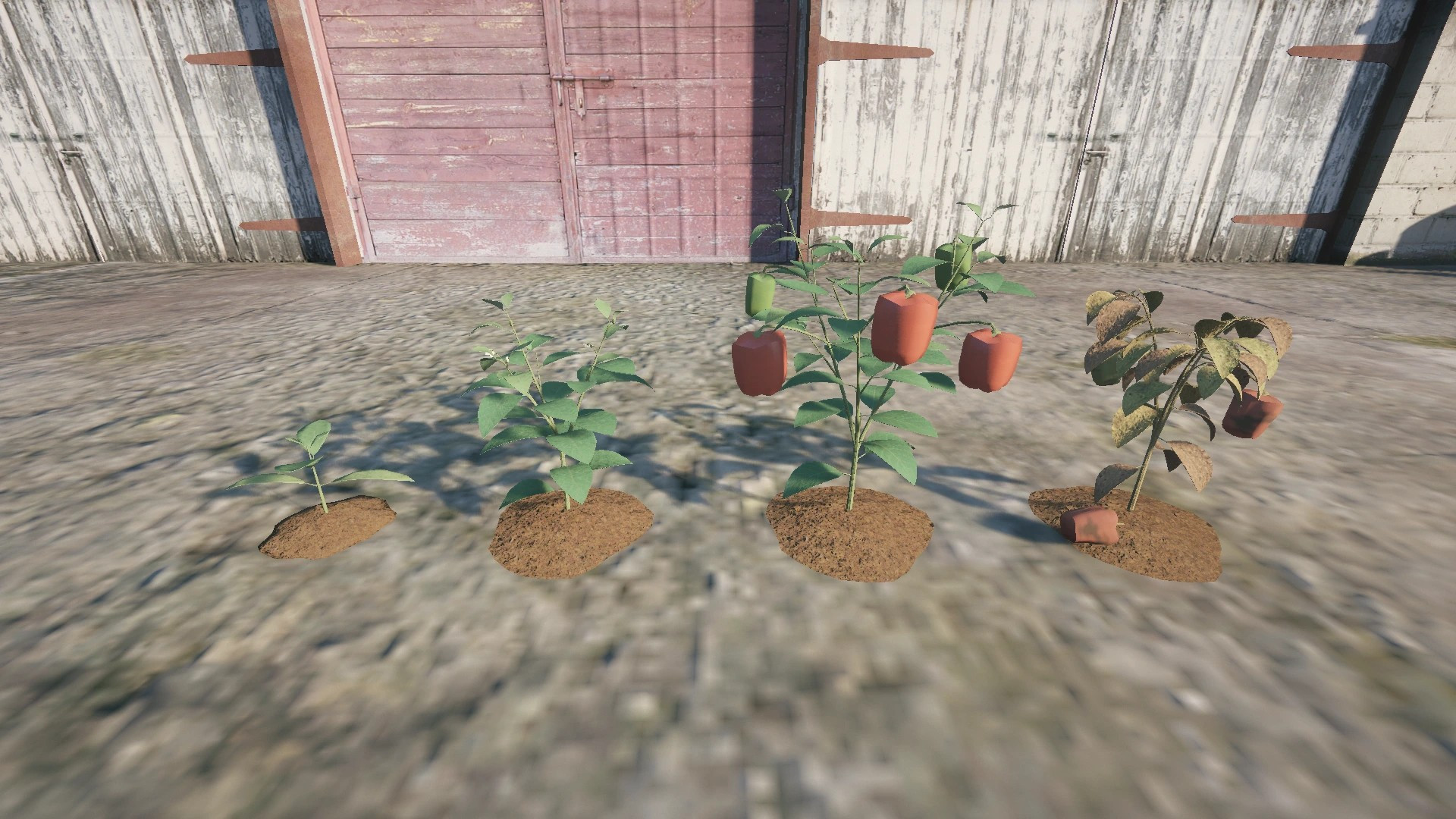 Farm Props: Garden Vegetables - 3