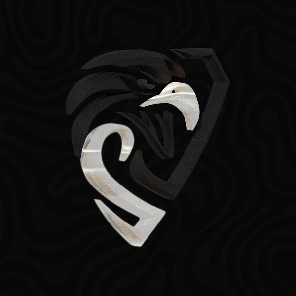 Silver Supporter