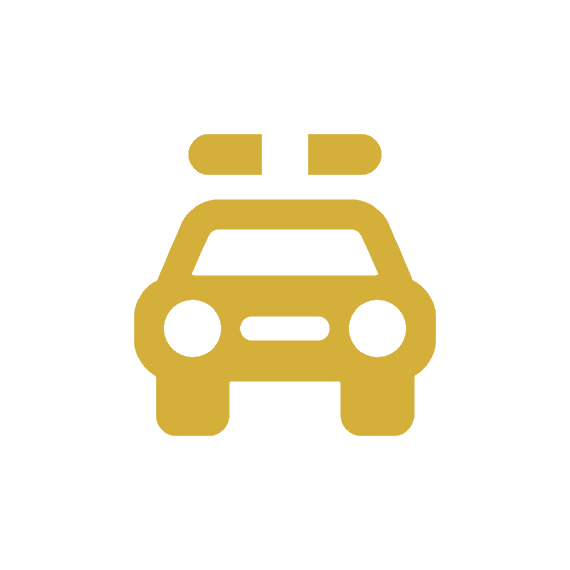 Pack Véhicules - Or