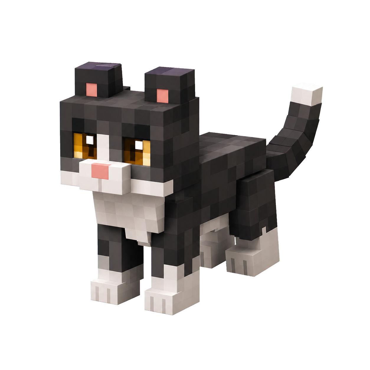 Mascota Gato