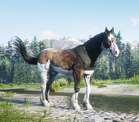 [HORSE] Charles  gang horse