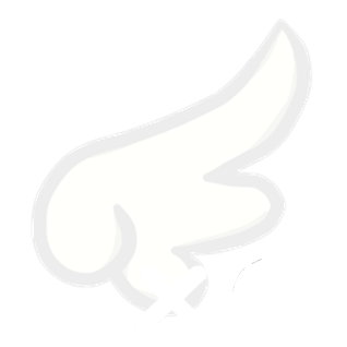 Fly x60 Dias
