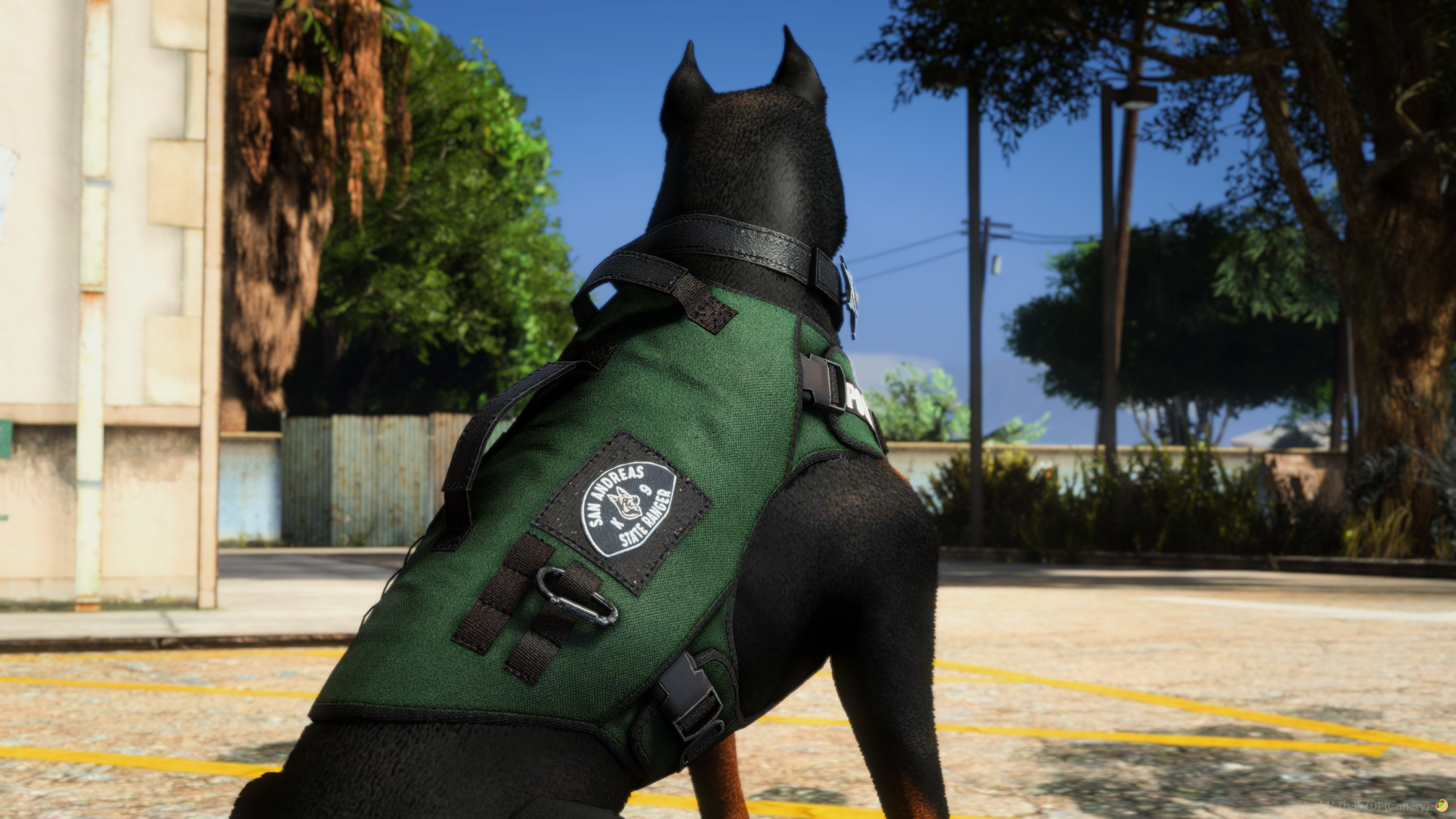 Doberman K9 + Puppy Bundle
