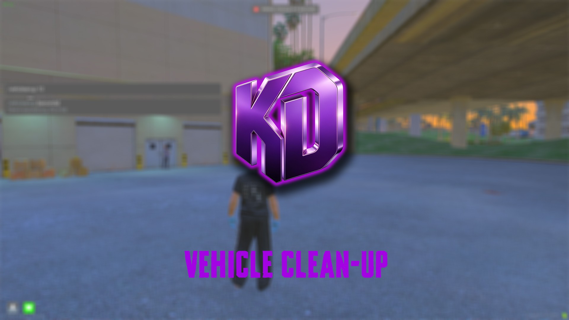 Vehicle Clean-up