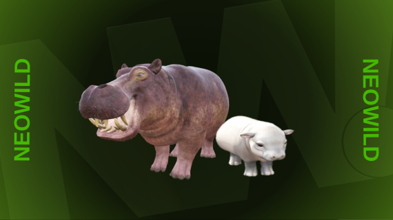 Hippo + Baby Hippo Bundle
