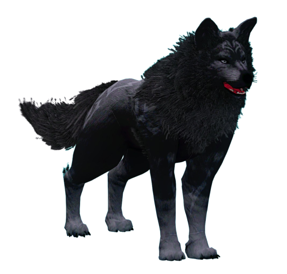 KNG RP LoboSirius Kng rp lobosirius