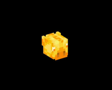 KIT | TIER 17