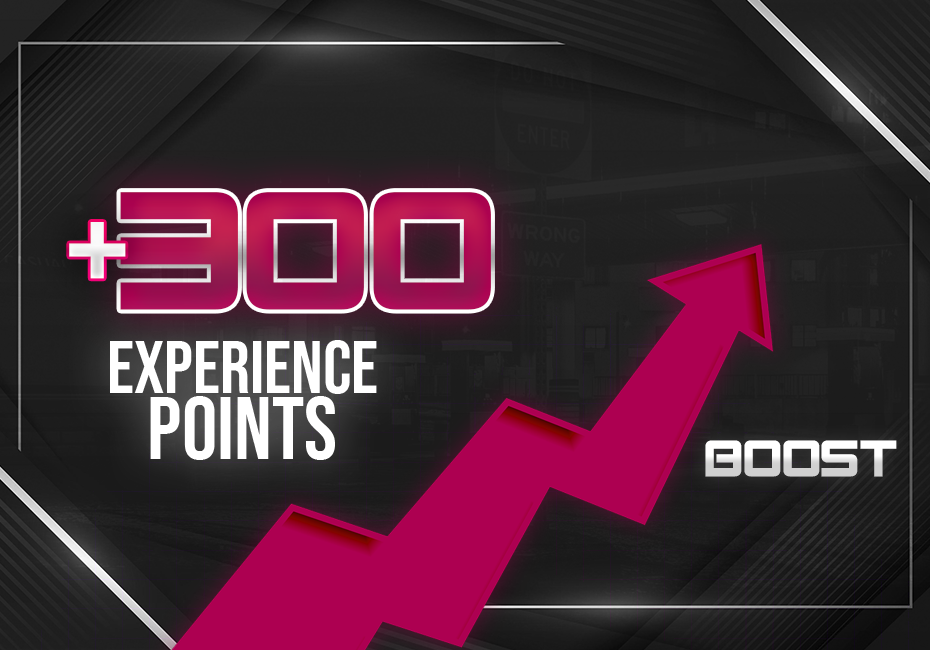 300 Puntos de Experiencia
