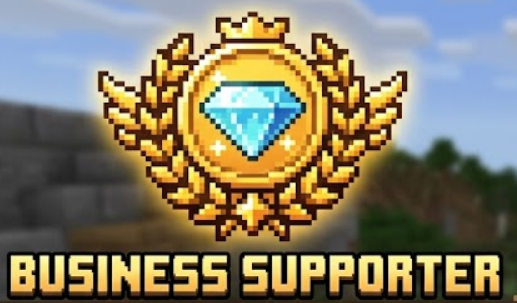 Business Supporter